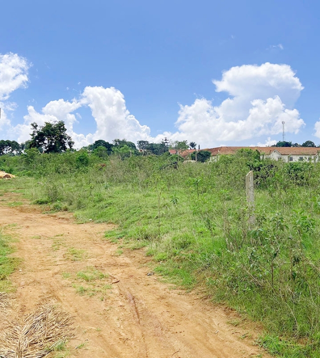 WhatsApp Image 2025-04-15 at 12.11.59.jpg